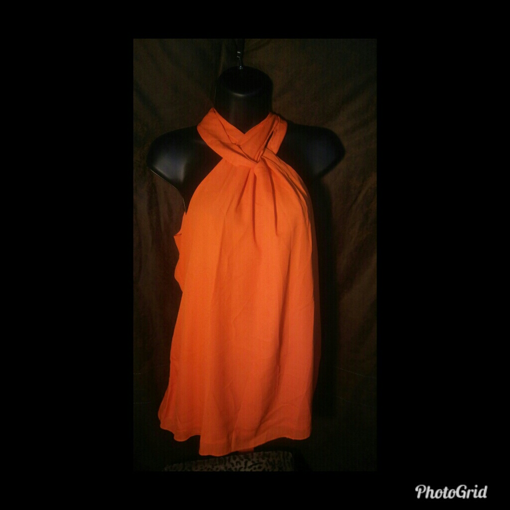 Halter Junior